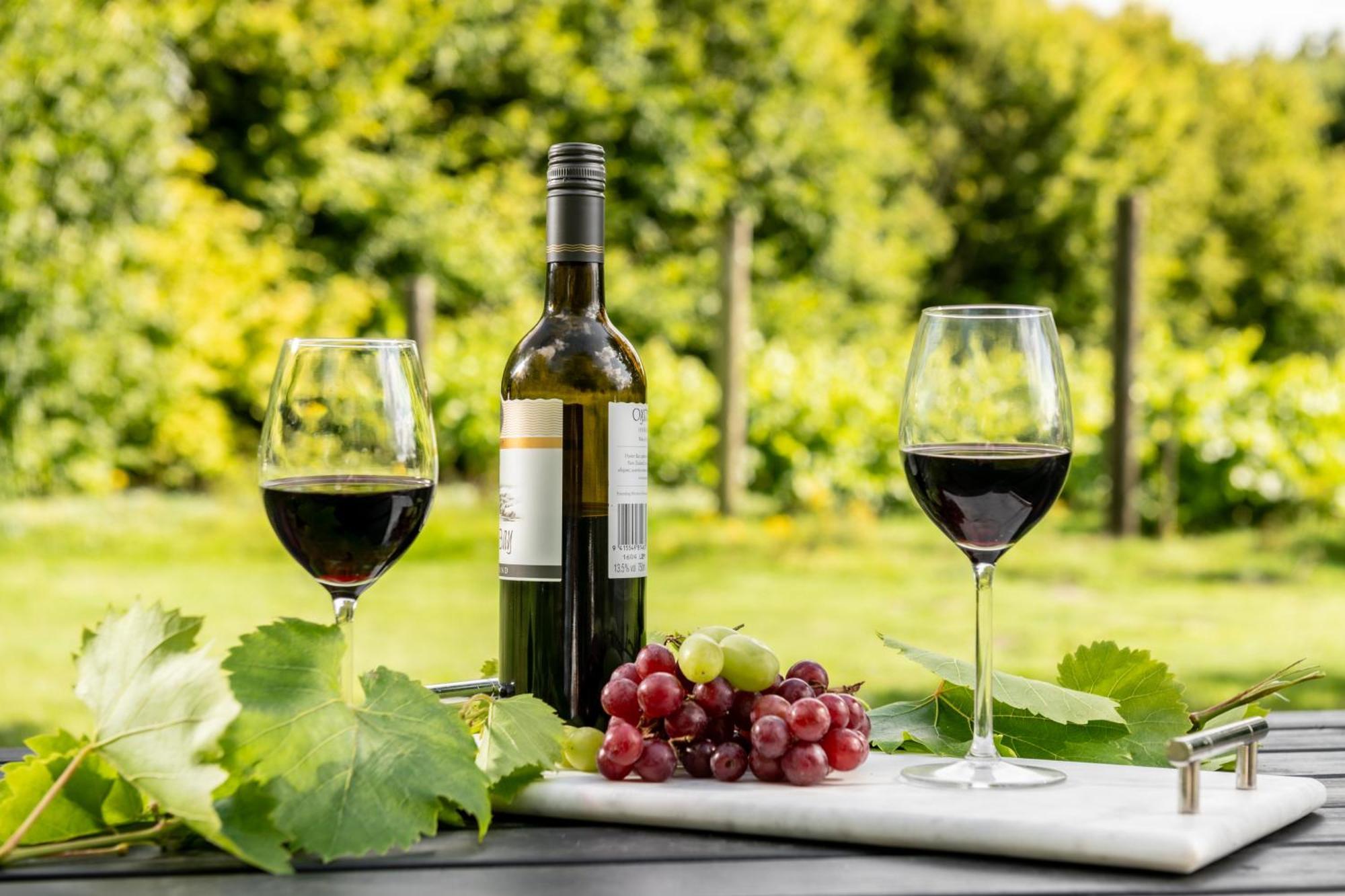 Downwood Vineyard Manor In Idyllic Countryside Villa Blandford Forum Eksteriør bilde