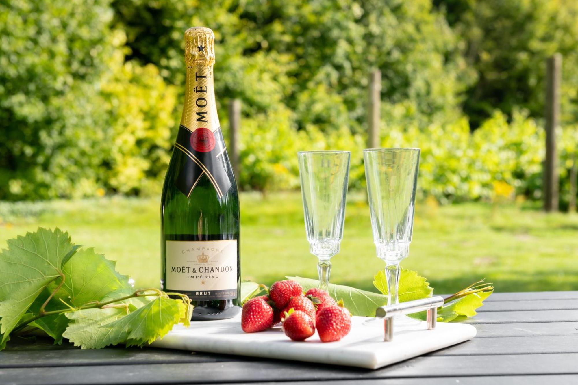 Downwood Vineyard Manor In Idyllic Countryside Villa Blandford Forum Eksteriør bilde