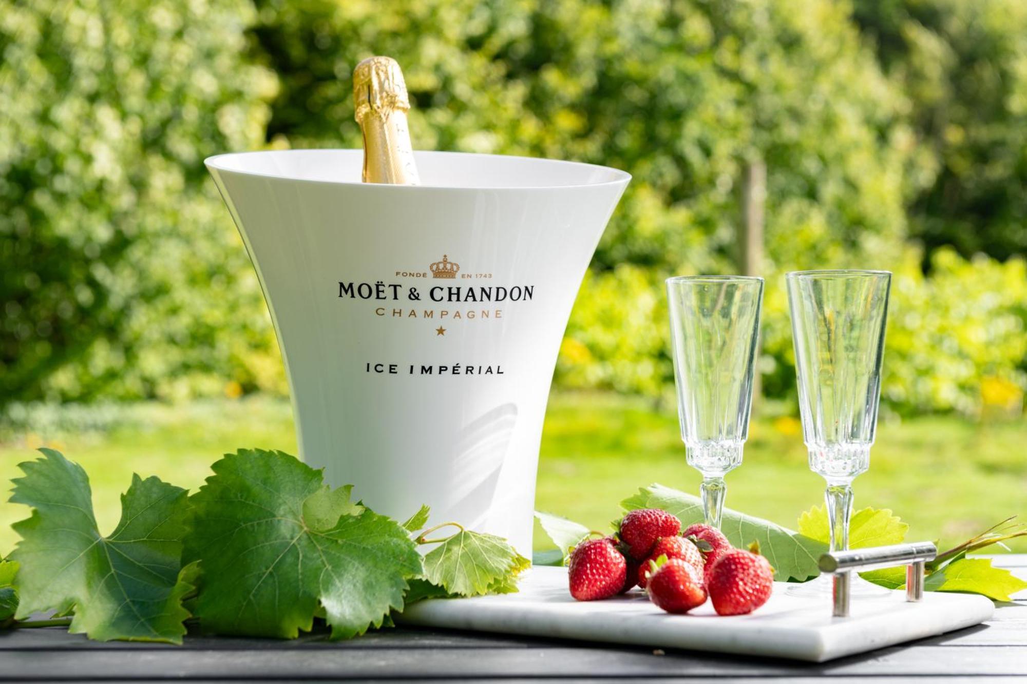 Downwood Vineyard Manor In Idyllic Countryside Villa Blandford Forum Eksteriør bilde
